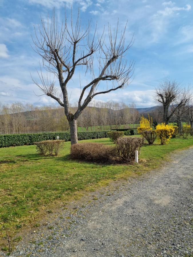 Camping Mayet-De-Montagne Le Mayet-de-Montagne Eksteriør billede